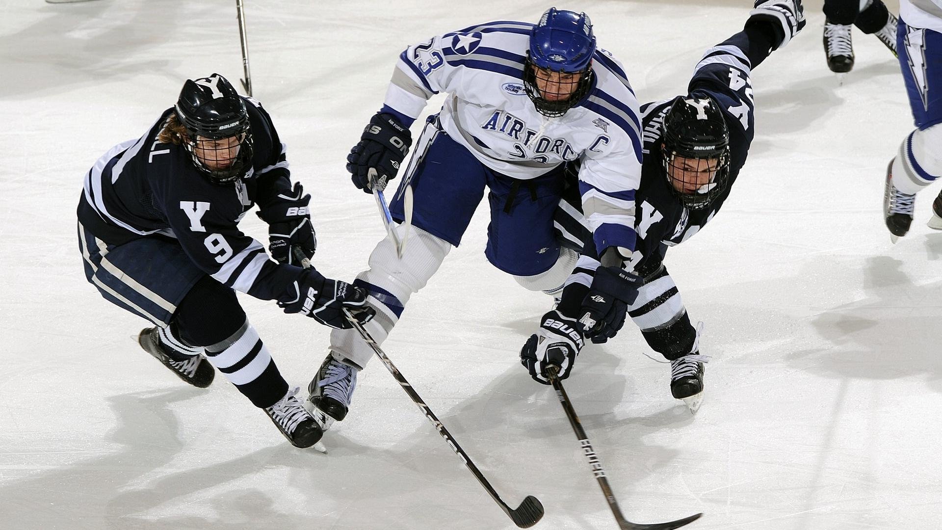 公牛队迎来历史性胜利,士气爆棚,公牛 队